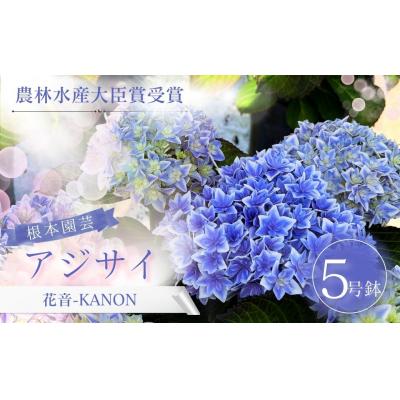 ふるさと納税 南相馬市 [先行予約]アジサイ 花音-KANON 5号鉢 aj001-ah