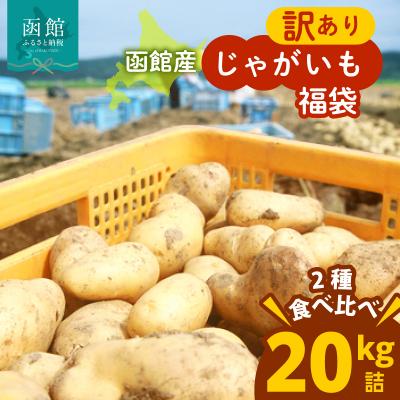 ふるさと納税 函館市 北海道函館産[訳あり]じゃがいも福袋 20kg 詰_HD206-003