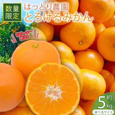 ふるさと納税 安田町 服部農園 とろけるみかん:興津早生 5kg(Lサイズ)