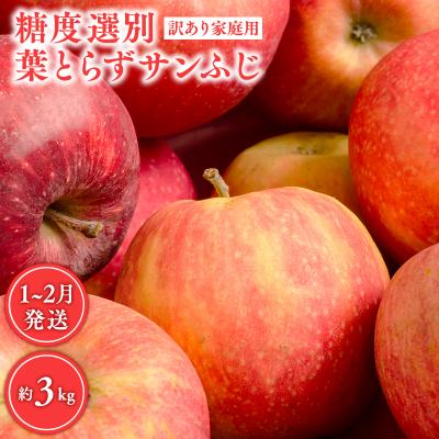 ふるさと納税 平川市 年明け 糖度選別 訳あり 葉とらずサンふじ 約3kg [JA津軽みらい ]