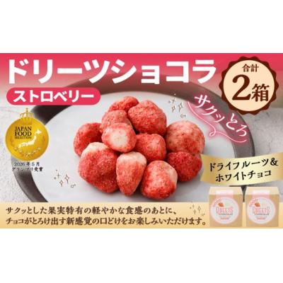 ふるさと納税 釧路市 [ 14営業日以内に発送 ] ドリーツショコラ ストロベリー 2箱