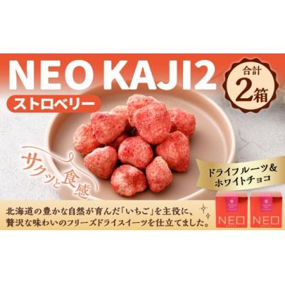 ふるさと納税 釧路市 [ 14営業日以内に発送 ] NEO KAJI2 [ ストロベリー ] 2箱