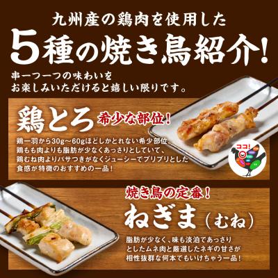 ふるさと納税 八代市 やきとり 5種 100本 焼鳥 焼き鳥 ねぎま 鶏もも 2026年12月発送_259-6029-12 |  | 01