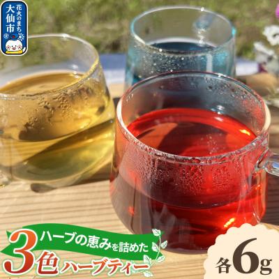 ふるさと納税 大仙市 ハーブティー 3色のハーブティー 秋田県 大仙市 キチエン|22_kie-010101