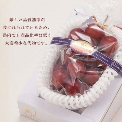 ふるさと納税 小松市 【2027年先行予約】 ルビーロマン ぶどう 葡萄 大粒 1房 500g 以上 石川県 小松市 |  | 03