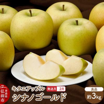 ふるさと納税 弘前市 りんご[27年2月発送]シナノゴールド[良品]約3kg 先行受付|24_kta-060301b