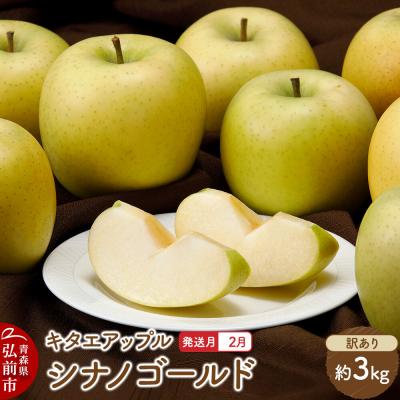 ふるさと納税 弘前市 りんご[27年2月発送]シナノゴールド[訳あり]約3kg 先行受付|24_kta-070301b