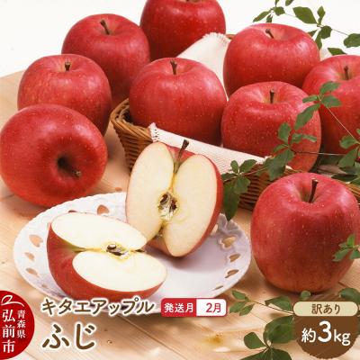 ふるさと納税 弘前市 りんご[27年2月発送]ふじ[訳あり]約3kg 先行受付|24_kta-090301b