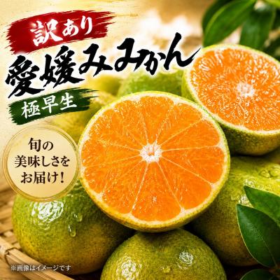 ふるさと納税 愛南町 先行予約 訳あり 愛媛みかん( 温州 極早生 みかん ) 5kg 7000円 渚のみかん園