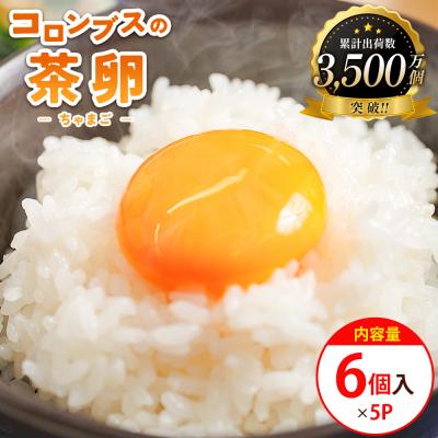 ふるさと納税 香南市 新鮮 卵 コロンブスの茶卵 6個入×5P kl-0004