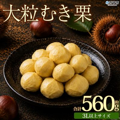 ふるさと納税 西予市 <大粒生栗 約280g×2袋>『9月中旬から順次出荷予定』三大産地 生栗 くり おおつぶ