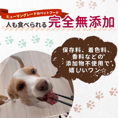 ふるさと納税 設楽町 《周年祭!》国産鹿肉100%使用! 無添加 犬用 鹿水煮 2缶 ペットフード 犬 猫 鹿 シカ |  | 01