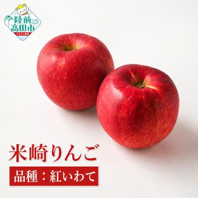 ふるさと納税 陸前高田市 りんご 紅いわて 約2.5kg 米崎りんご 果物 フルーツ 林檎 甘い マルキヨファーム