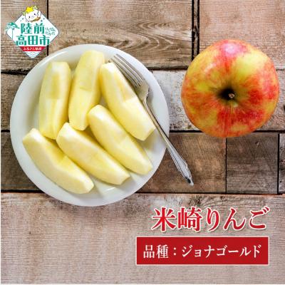 ふるさと納税 陸前高田市 りんご ジョナゴールド 約2.5kg 米崎りんご 果物 フルーツ 林檎 甘い マルキヨファーム