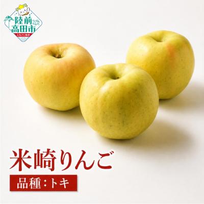 ふるさと納税 陸前高田市 りんご トキ 約2.5kg 米崎りんご 果物 フルーツ 林檎 甘い ときりんご マルキヨファーム