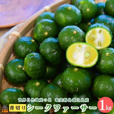 ふるさと納税 徳之島町 [今が旬!]世界自然遺産の島の青切りシークワァーサー(1kg)シークワーサー