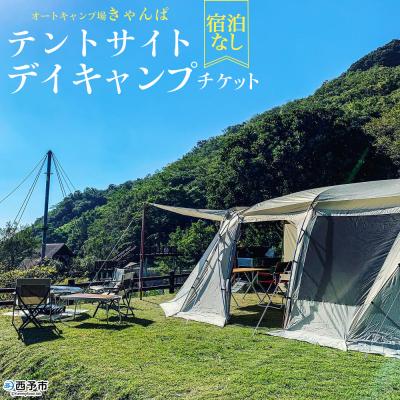 ふるさと納税 西予市 <オートキャンプ場「きゃんぱ」テントサイトデイキャンプチケット>宿泊なし キャンプ キャンピング テ