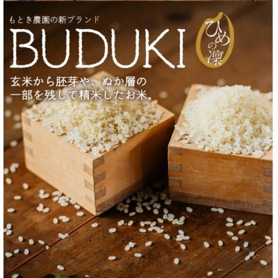 ふるさと納税 西予市 愛媛県西予市産 分搗米(BUDUKI)〜うまいより、強いカ ラダに。〜 ひめの凜 食べ比べセット