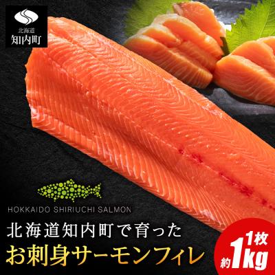 ふるさと納税 知内町 知内サーモンサーモンフィーレ 1kg <≪上磯郡漁業協同組合≫>