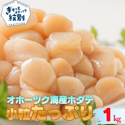 ふるさと納税 紋別市 北海道オホーツク海産ホタテ玉冷小粒たっぷり(1kg) | 