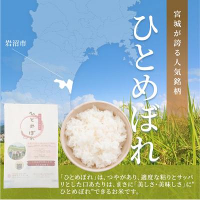 ふるさと納税 岩沼市 【令和8年産】 新米 宮城県産 ひとめぼれ 精米 5kg |  | 01