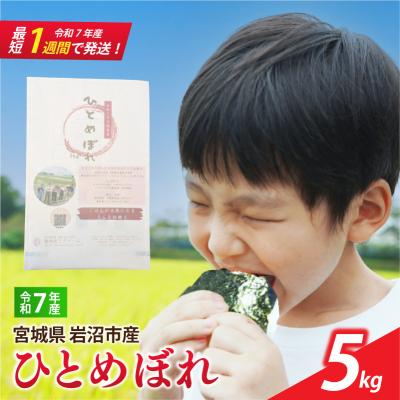 ふるさと納税 岩沼市 [令和7年産] 宮城県産 ひとめぼれ 5kg 精米