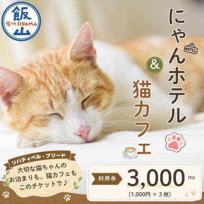 ふるさと納税 飯山市 にゃんほてる&amp;猫カフェ[利用券 3,000円分]| リバティベル・ブリード