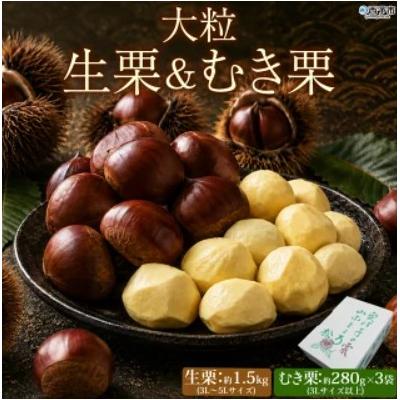 ふるさと納税 西予市 <大粒生栗&amp;むき栗 合計約2.34kg>『9月上旬から順次出荷予定』 和栗 生栗