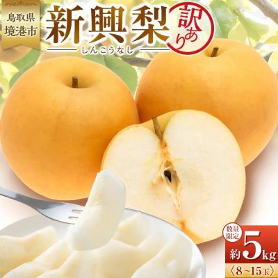 ふるさと納税 境港市 訳あり 数量限定 鳥取県産 新興梨(しんこうなし) 約5kg (8〜15玉)
