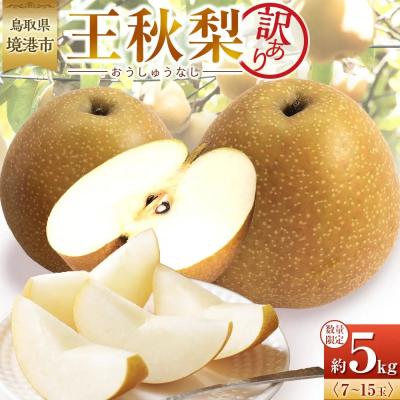 ふるさと納税 境港市 訳あり 数量限定 鳥取県産 王秋梨(おうしゅうなし) 約5kg (7〜15玉)