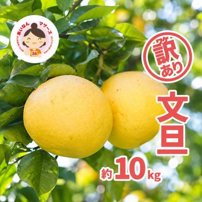 ふるさと納税 愛南町 [先行予約]訳あり文旦 10kg Mサイズ以上サイズミックス あいなんマザーズ