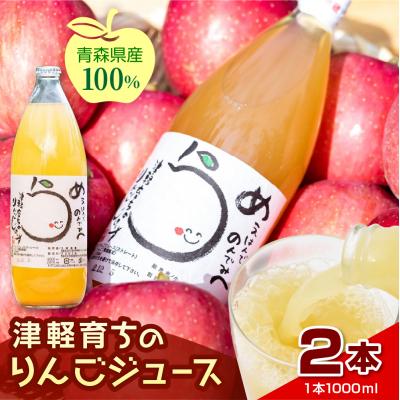ふるさと納税 五所川原市 [11月より順次発送]青森りんごジュース 2本セット ストレート 果汁 100% 五所川原市
