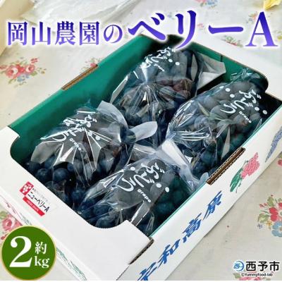 ふるさと納税 西予市 <ベリーA 約2kg>果物 くだもの フルーツ 葡萄 ブドウ やわらかい 果実 青果 やさしい甘さ