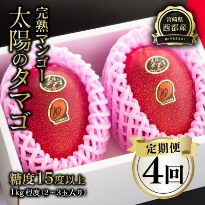 ふるさと納税 西都市 [定期便 4回お届け]『太陽のタマゴ』2〜3玉入り 約1kg 宮崎県西都市産完熟マンゴー[3325]