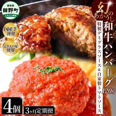 ふるさと納税 田野町 幻のあかうし和牛ハンバーグ 4個入り 3ヶ月定期便[特製デミソース トマトソース付き]