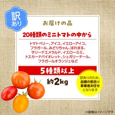 専用 メロン2玉 ミニトマト 2027年7月より発送】【訳あり】カラフル