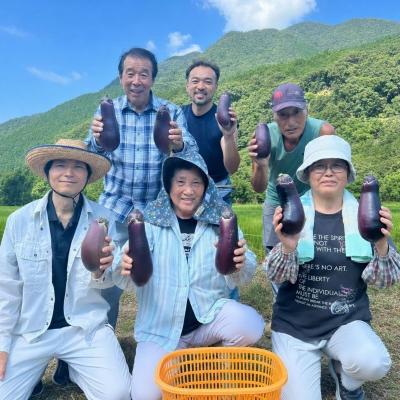ふるさと納税 室戸市 訳アリ品【伝統野菜 ぼたなす 訳あり 2kg 】とろける食感の大きなナス |  | 03