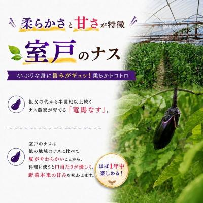 ふるさと納税 室戸市 【スピード発送】朝どれナス 1kg 室戸の茄子「竜馬」を新鮮なまま産直お届け |  | 01