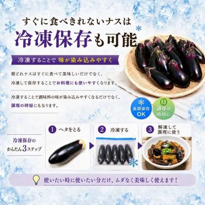 ふるさと納税 室戸市 【スピード発送】朝どれナス 1kg 室戸の茄子「竜馬」を新鮮なまま産直お届け |  | 02