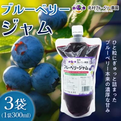 ふるさと納税 石巻市 ブルーベリージャム 300ml × 3個 ブルーベリー ジャム 自然栽培