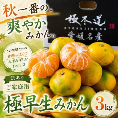 ふるさと納税 西予市 <秋一番果 愛媛県産極早生みかん 合計約3kg>訳あり ごくわせ ミカン 蜜柑 食感 甘い