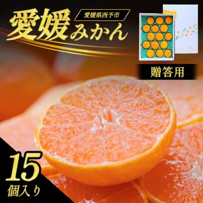 ふるさと納税 西予市 <贈答用 西予産 愛媛みかん 15個入 のし付き>愛媛県産 えひめ ミヤモトオレンジガーデン