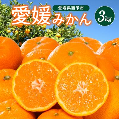 ふるさと納税 西予市 <西宇和地区西予産 愛媛みかん 約3kg>温州みかん ミカン 蜜柑