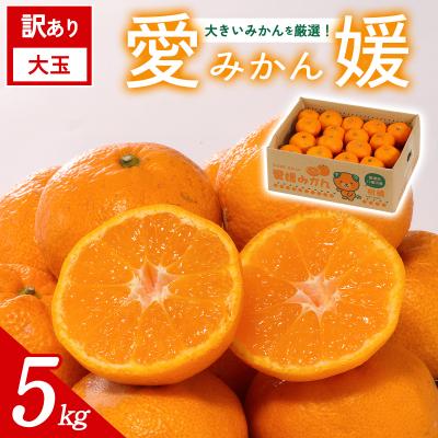 ふるさと納税 西予市 <訳あり 大玉 愛媛みかん 約5kg>ご家庭用 ご自宅 蜜柑 愛媛県産 ミヤモトオレンジガーデン