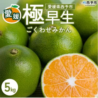 ふるさと納税 西予市 <西予産 極早生みかん 5kg>『2026年10月以降順次出荷予定』みかん フレッシュ ごくわせ