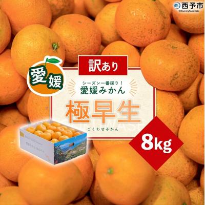 ふるさと納税 西予市 <訳あり 愛媛県産 極早生みかん 約8kg>『2026年10月以降順次出荷予定』ご家庭用 愛媛県産