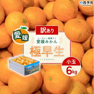 ふるさと納税 西予市 <訳あり 西予市産 極早生みかん 小玉 約6kg> 『2026年10月以降順次出荷予定』愛媛県