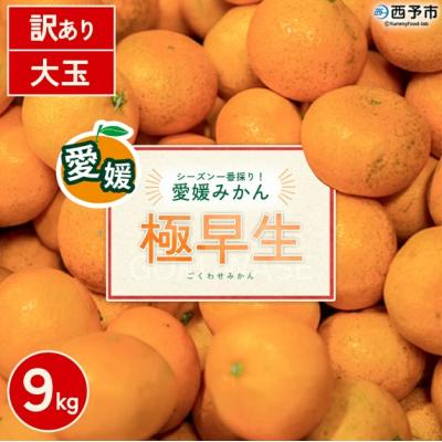 ふるさと納税 西予市 <訳あり 西予市産 極早生みかん 大玉 約9kg> 『2026年10月以降順次出荷予定』愛媛県