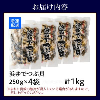 ふるさと納税 えりも町 浜茹でつぶ貝1kg 【er001-133】 |  | 03