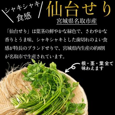 ふるさと納税 名取市 仙台せり鍋セット 美味なる根っこ 漁亭 浜や 4〜5人前|21_hmy-040101 |  | 03